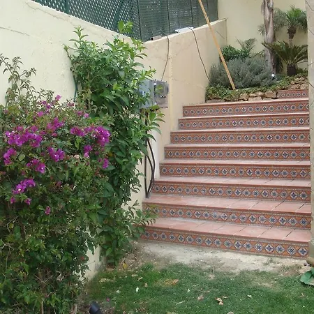 La Jacaranda